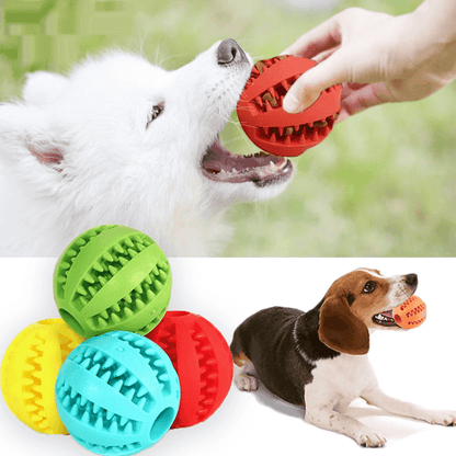 InterActive Pet Ball